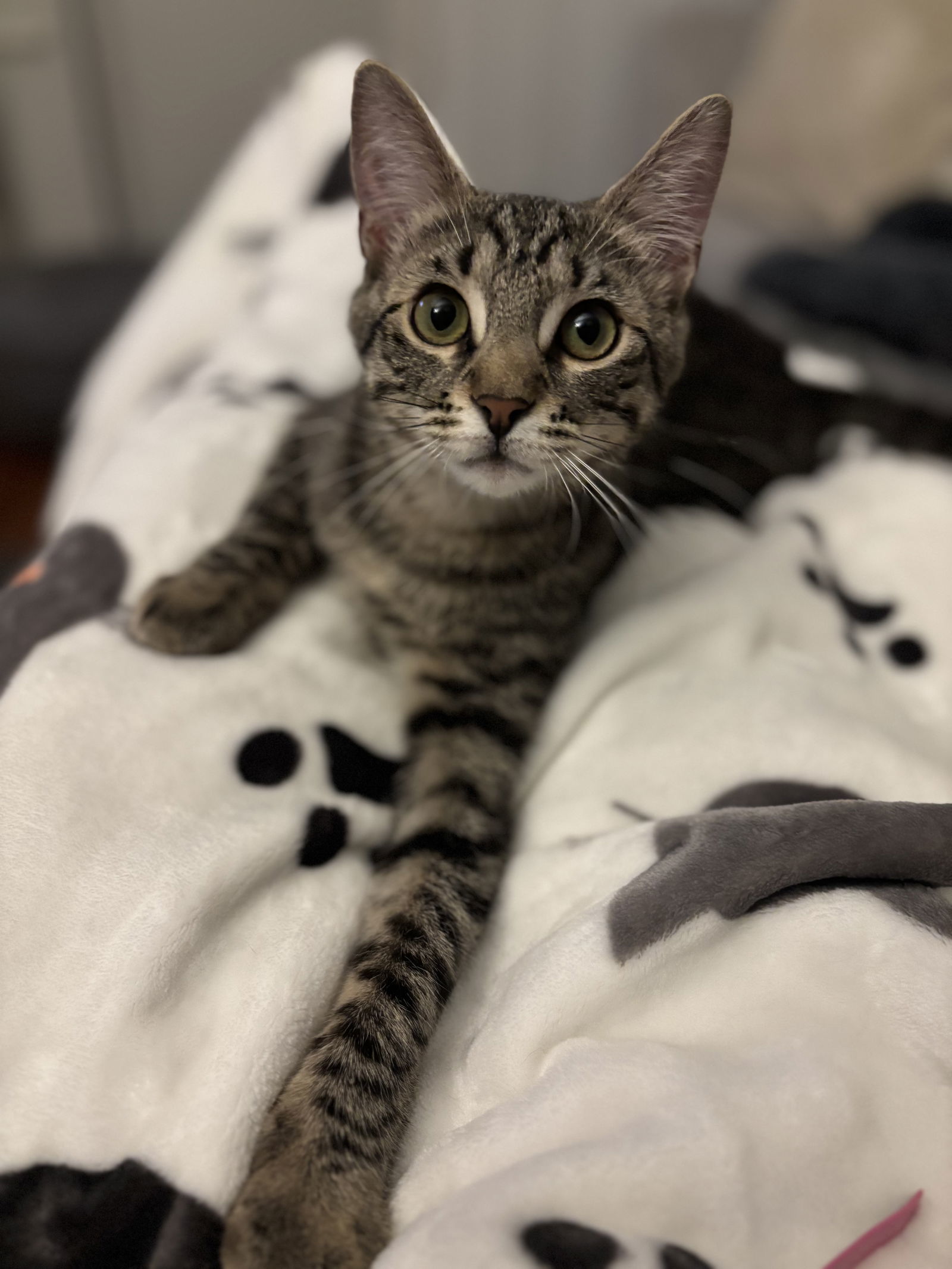Fiona