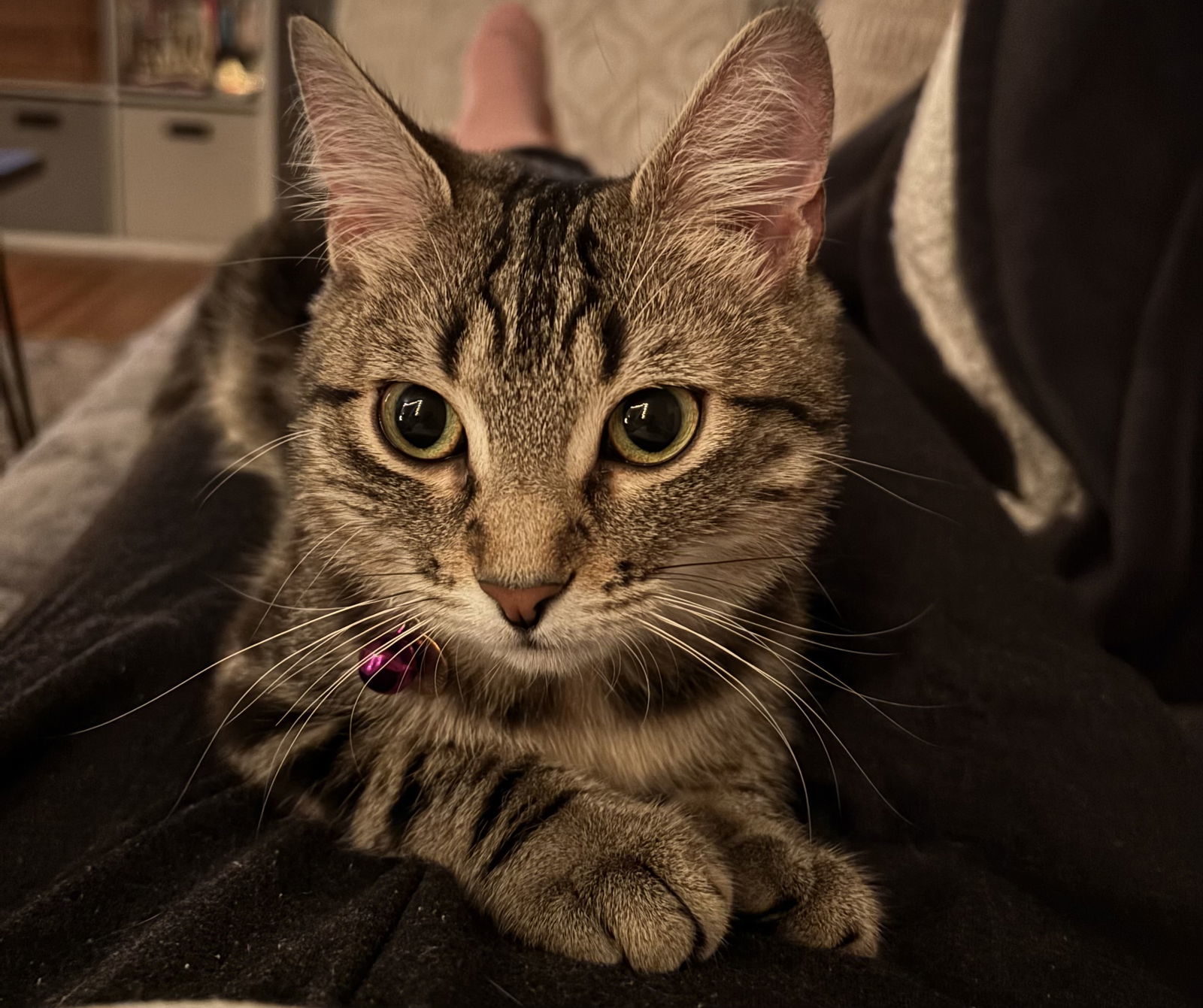 Remi