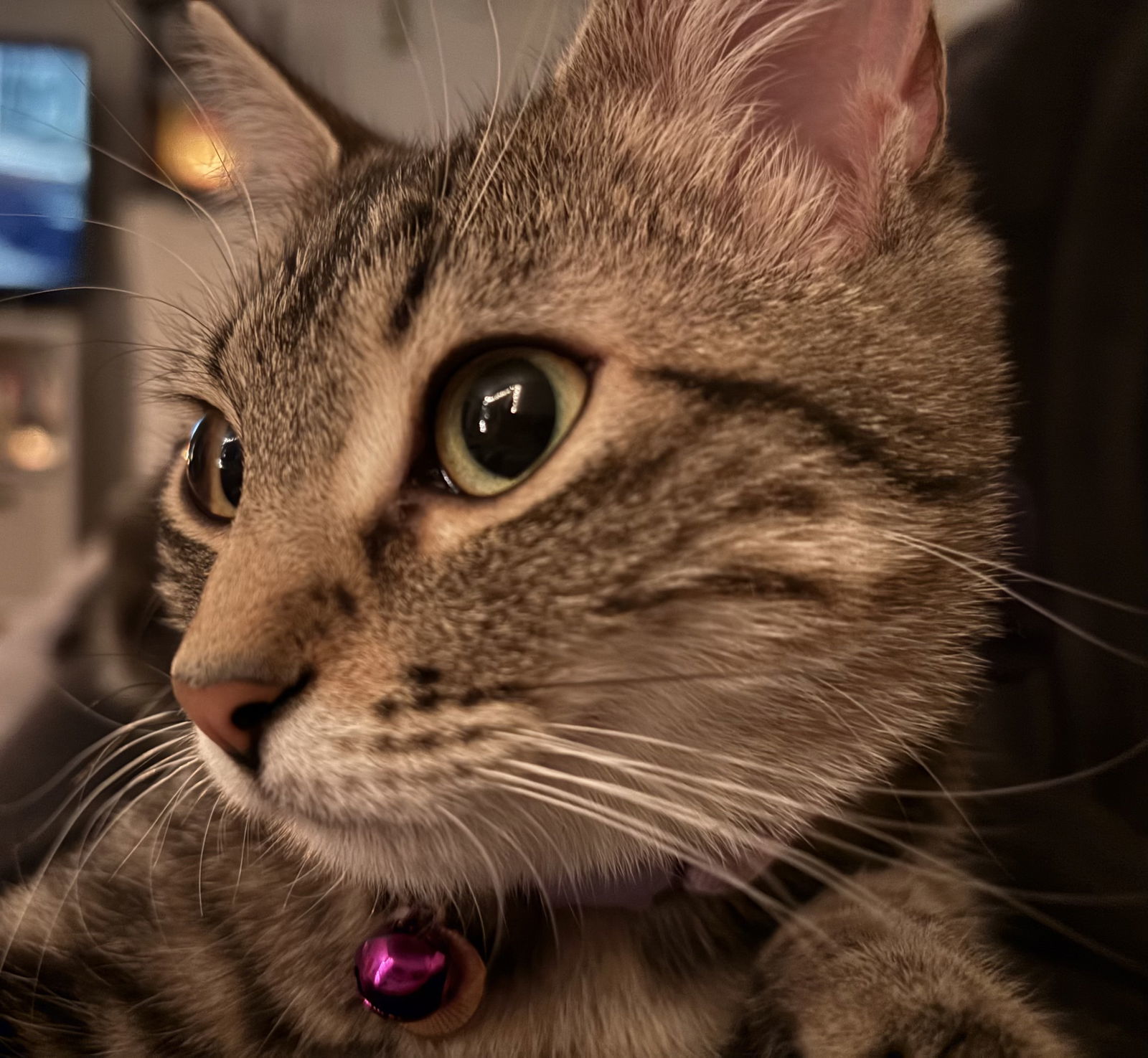 Remi