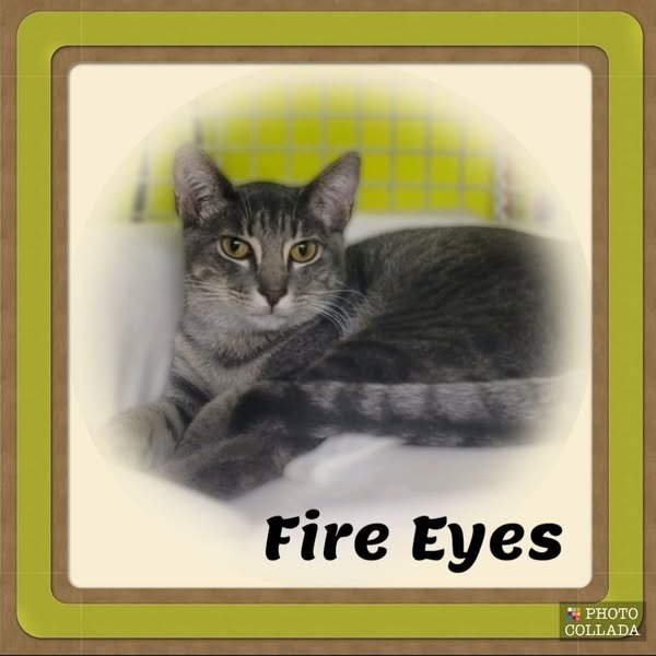 FireEyes