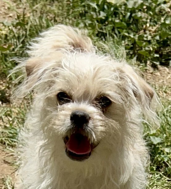 !Teddy