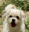 !Teddy photo 1