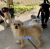!Teddy photo 2