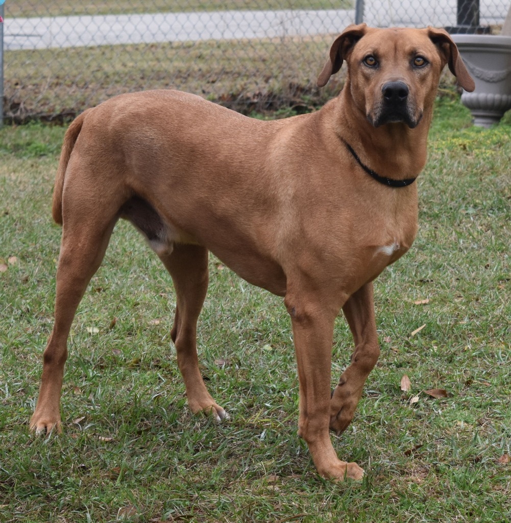 Rusty