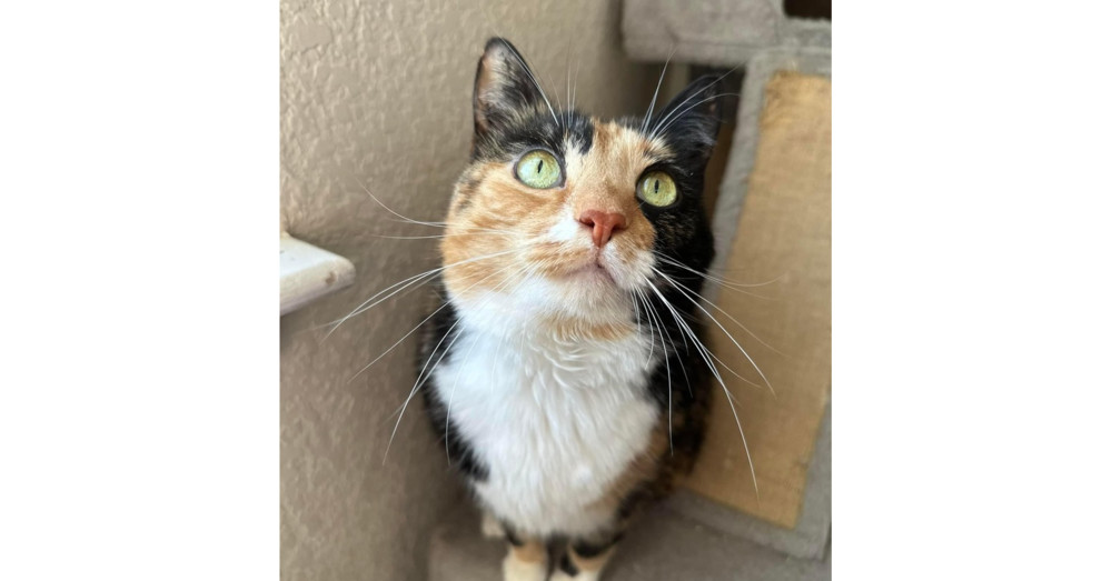 Leela