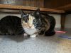 Leela photo 5