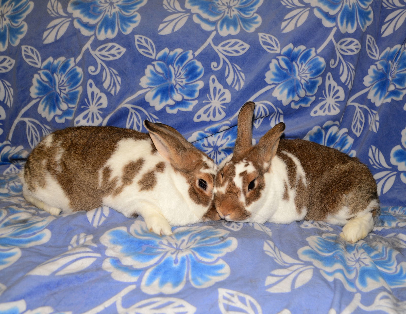 Cloud 9 and Cirrus
