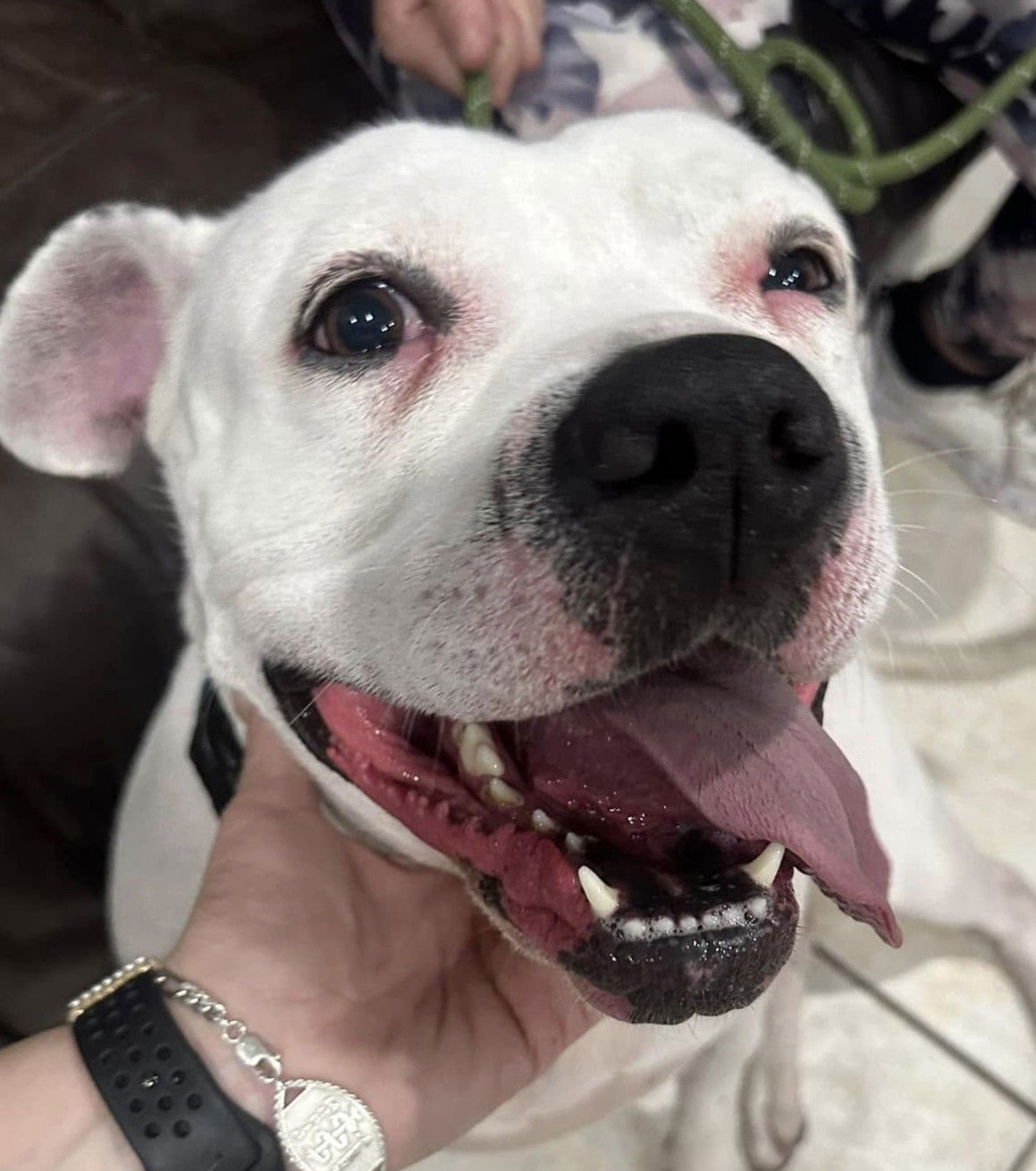 Lola