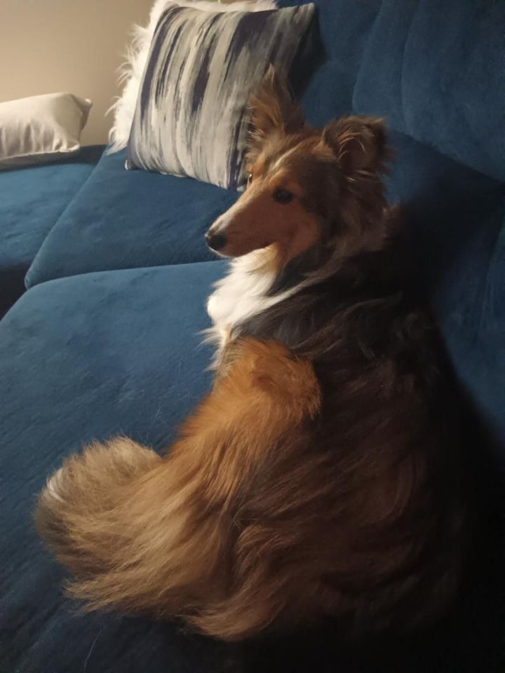 Toby 2024 3