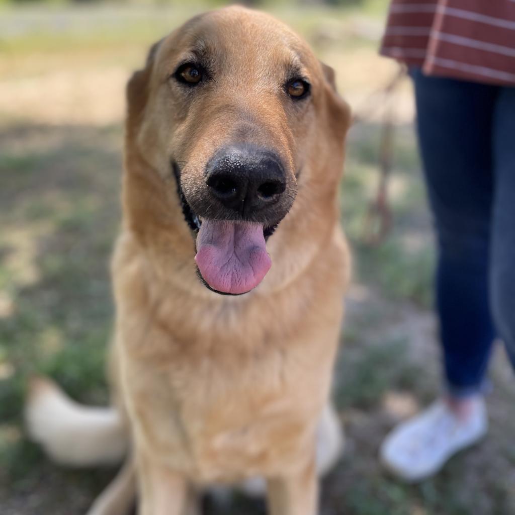 Lucy