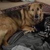 Lucy photo 6