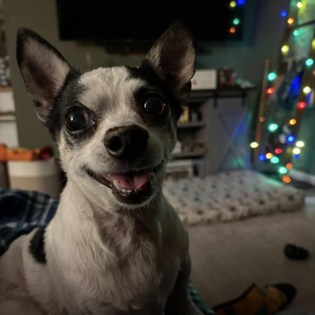 Poco