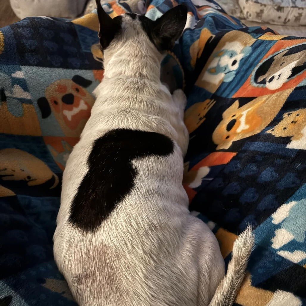 Poco