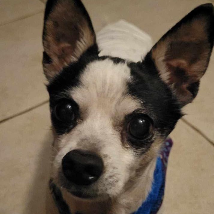 Poco