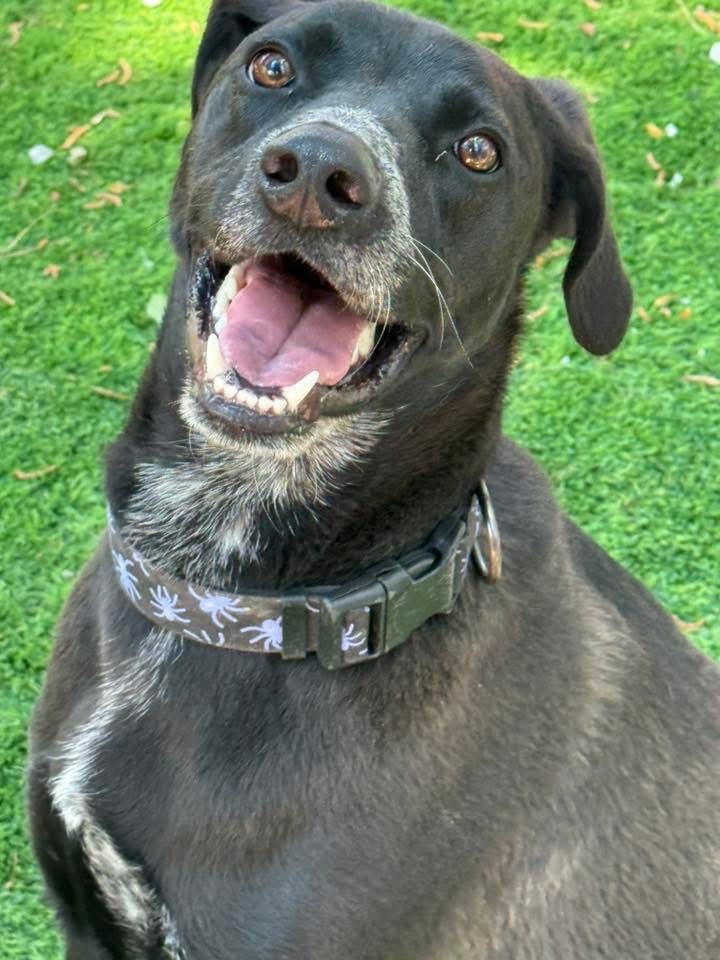 Duke