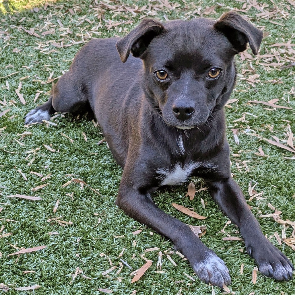 Charlottesville Va Calendar Of Events 