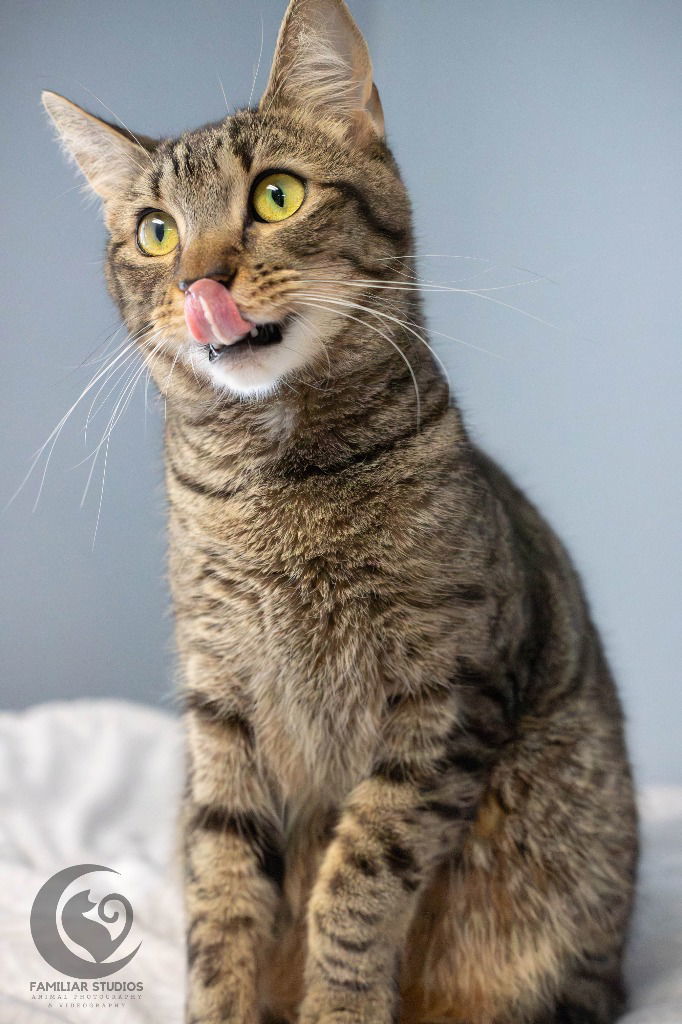 Dennis AKA Denni
