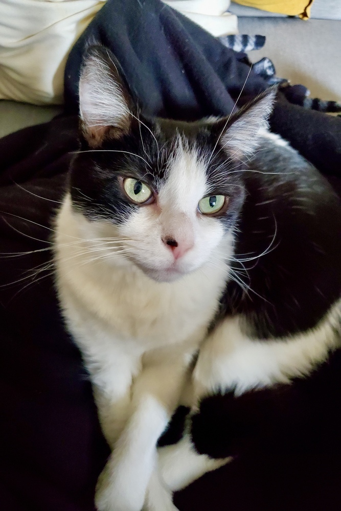Ezra