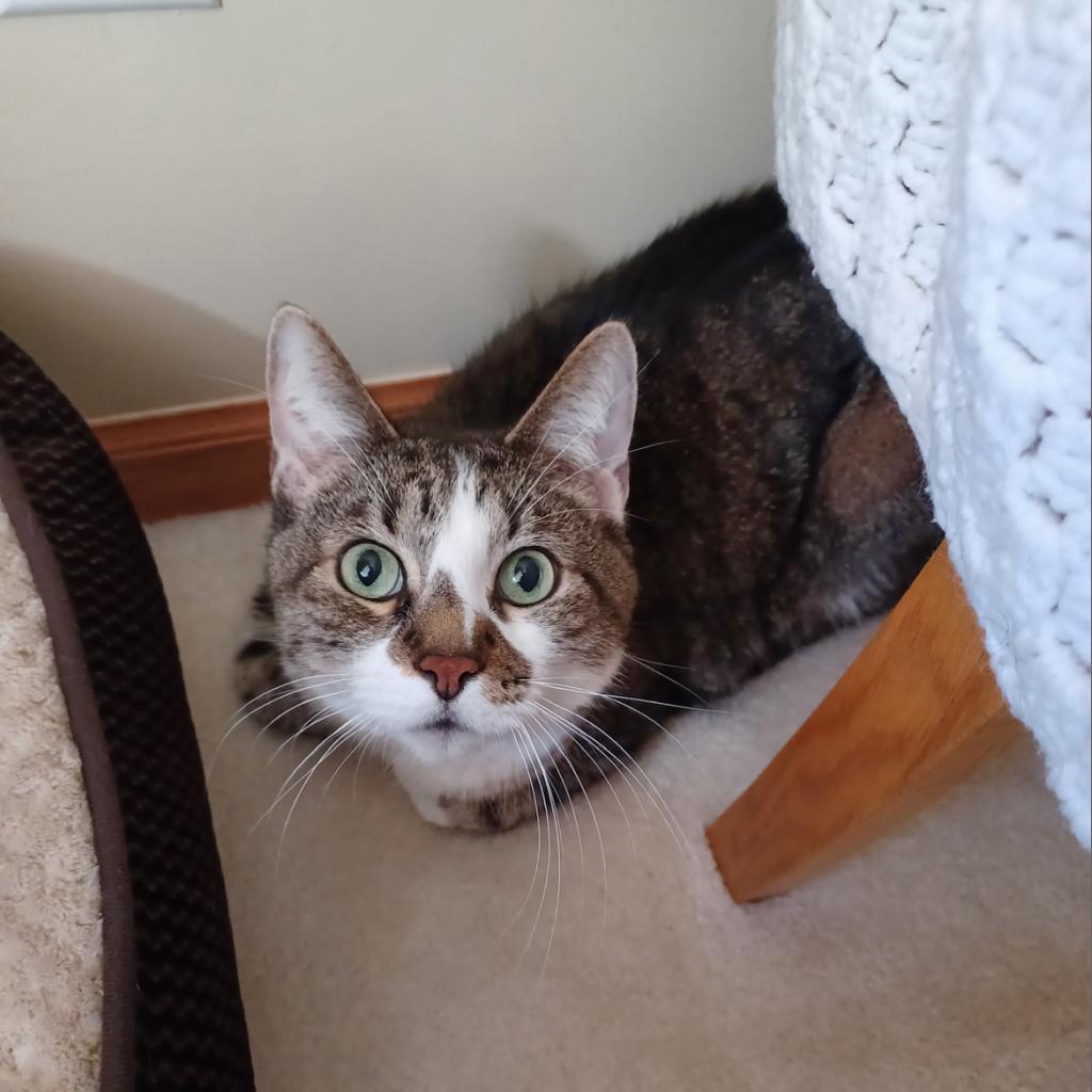 Max