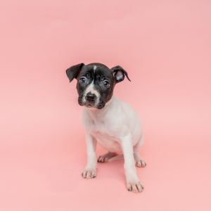 Baby Smitty has us saying oh baby every day - because this little girl is adorable Part of our Mo