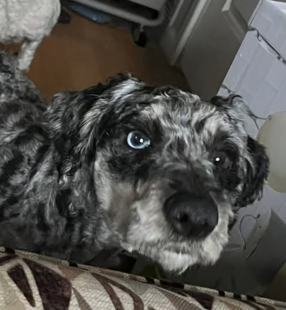 Tucker