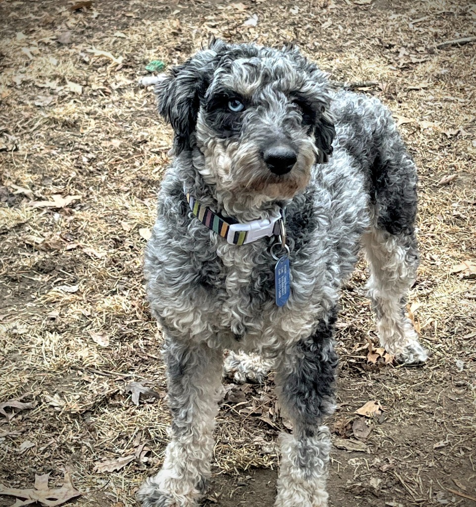 Tucker