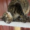 Carina photo 2
