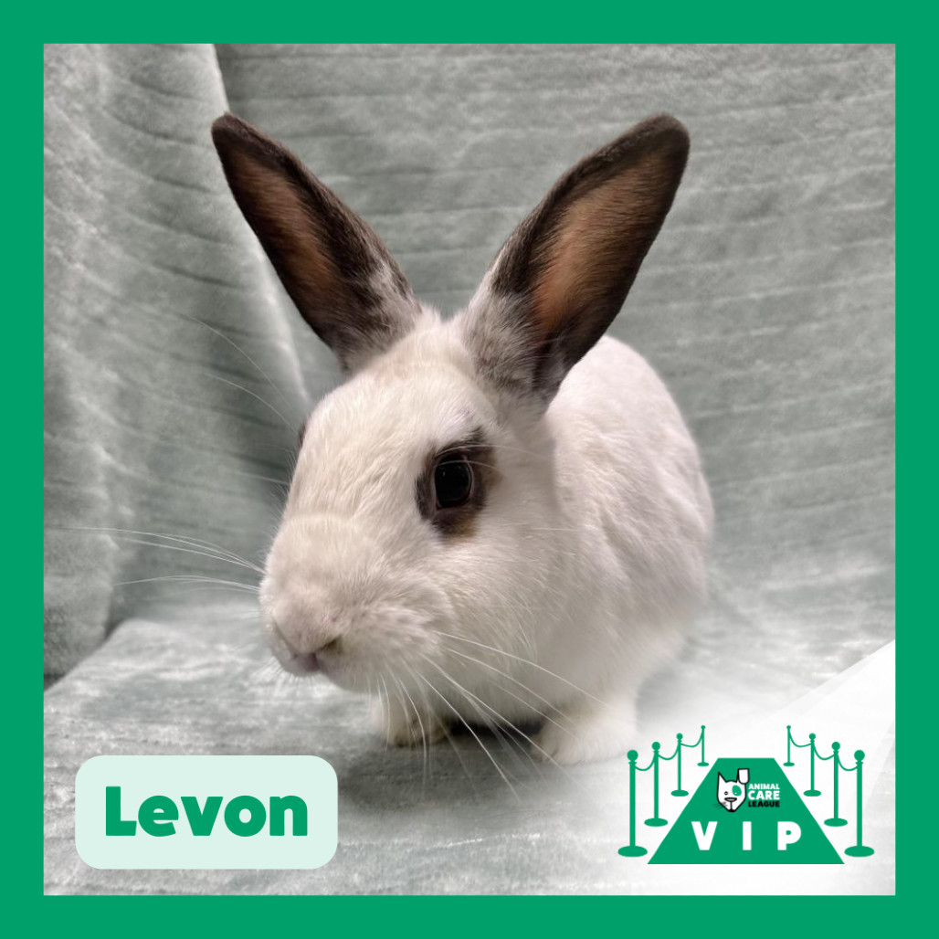 Levon