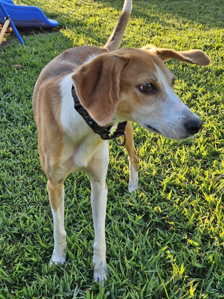 Delilah