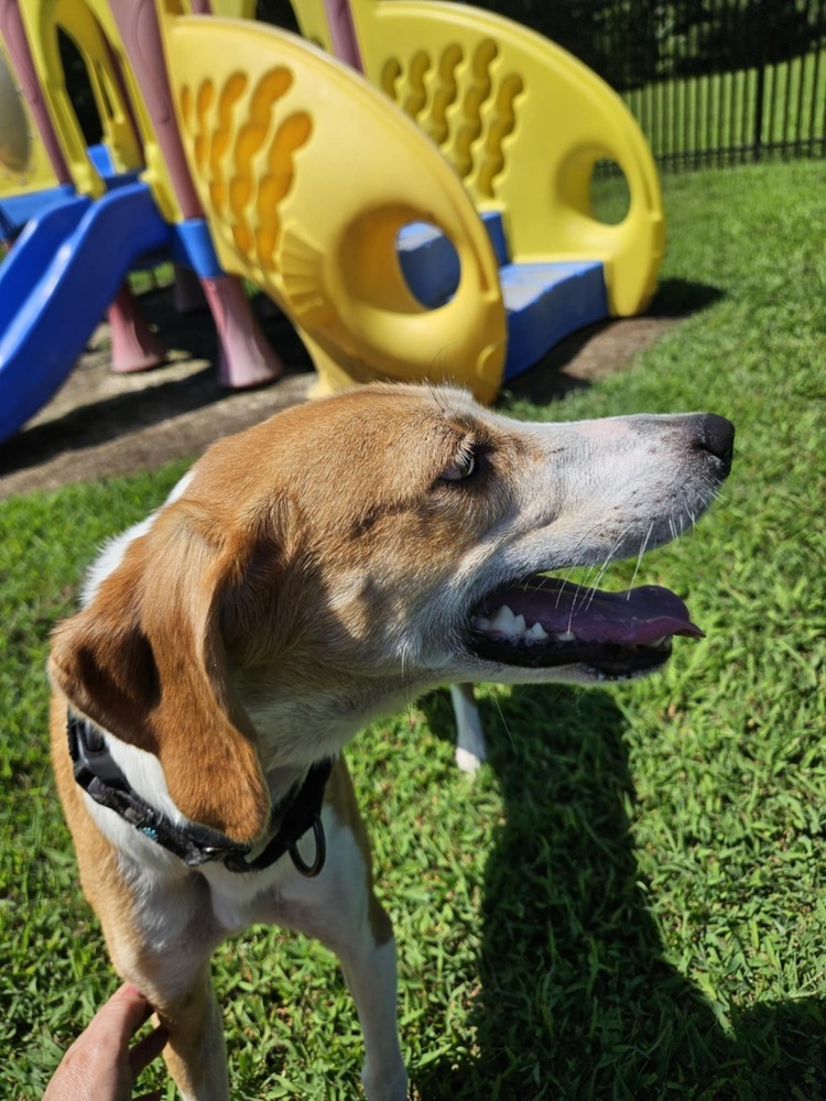 Delilah