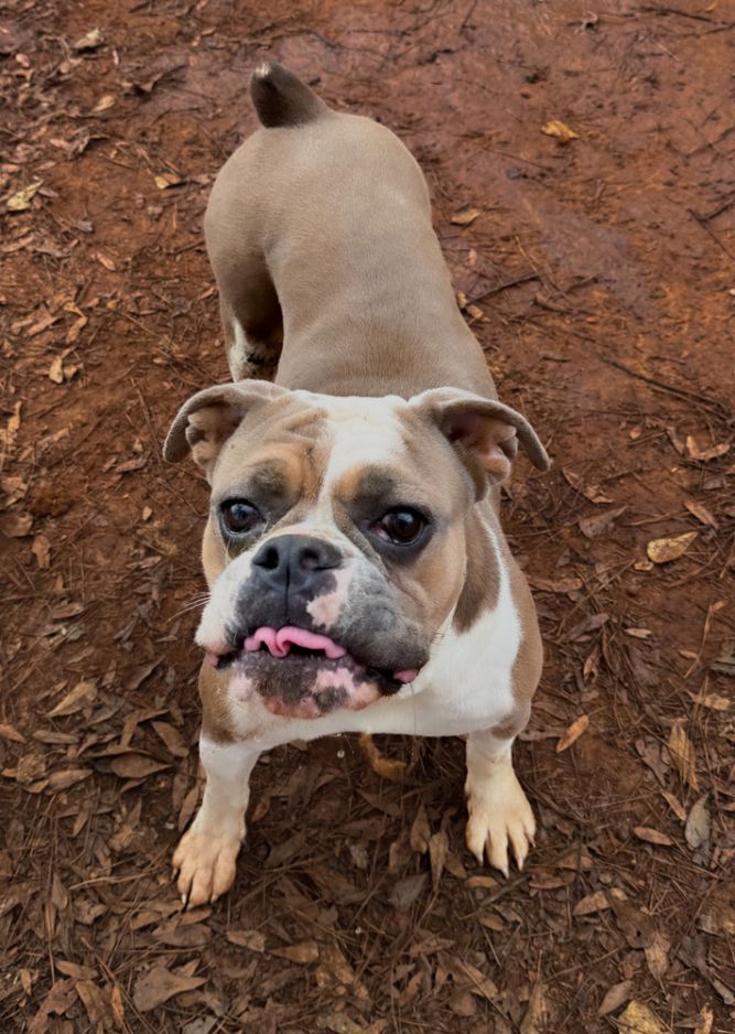 Rosie