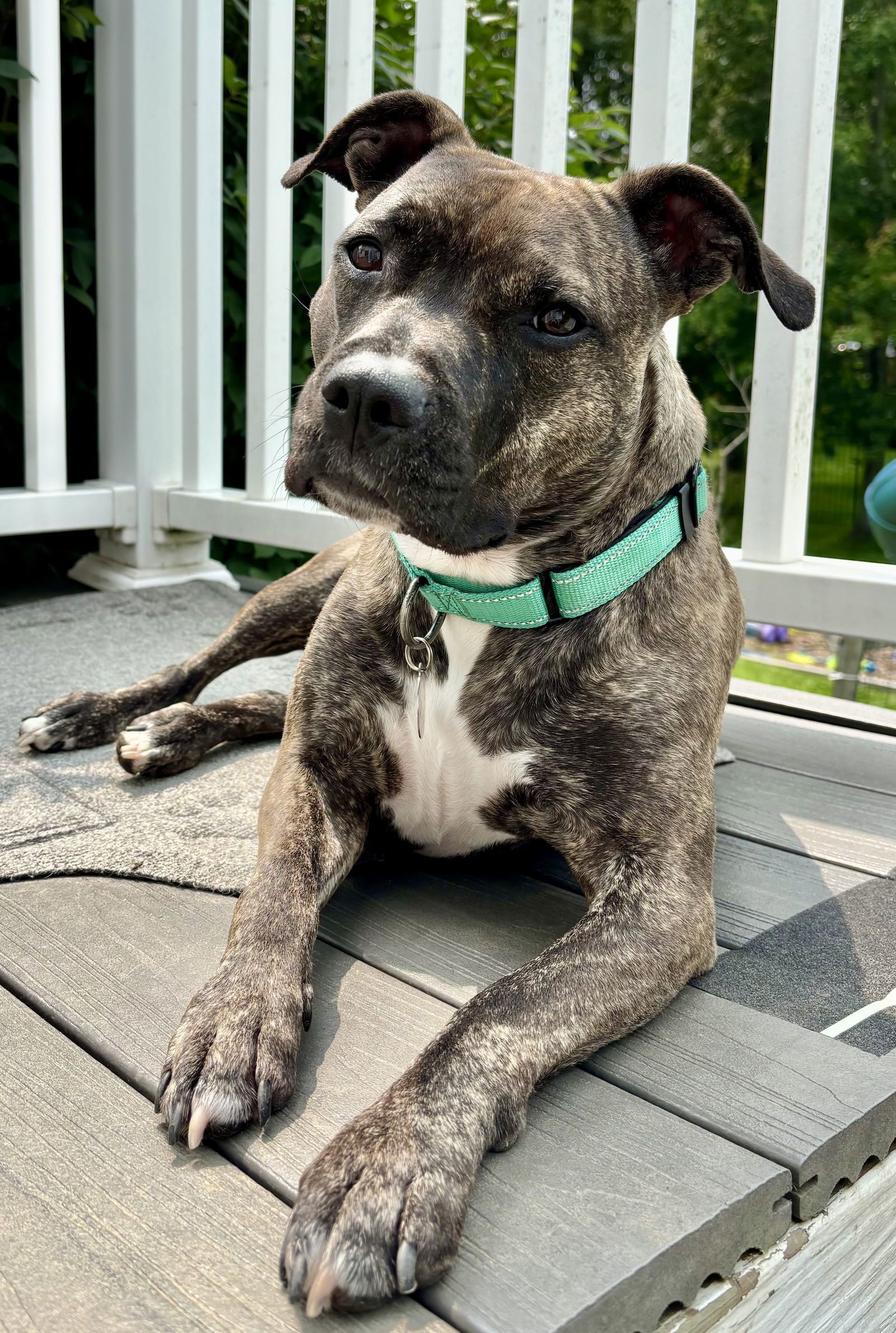 Audrey
