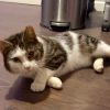 Oliver photo 3