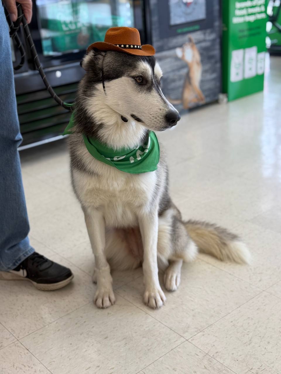 Bingo **Foster Needed**