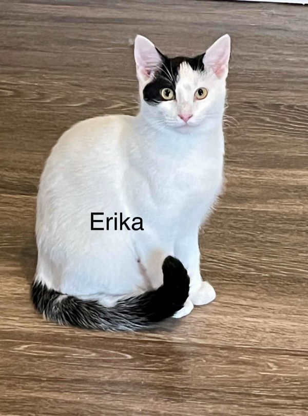 Erika