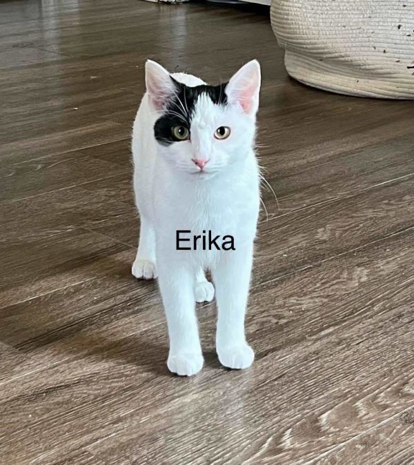Erika thumbnail 2