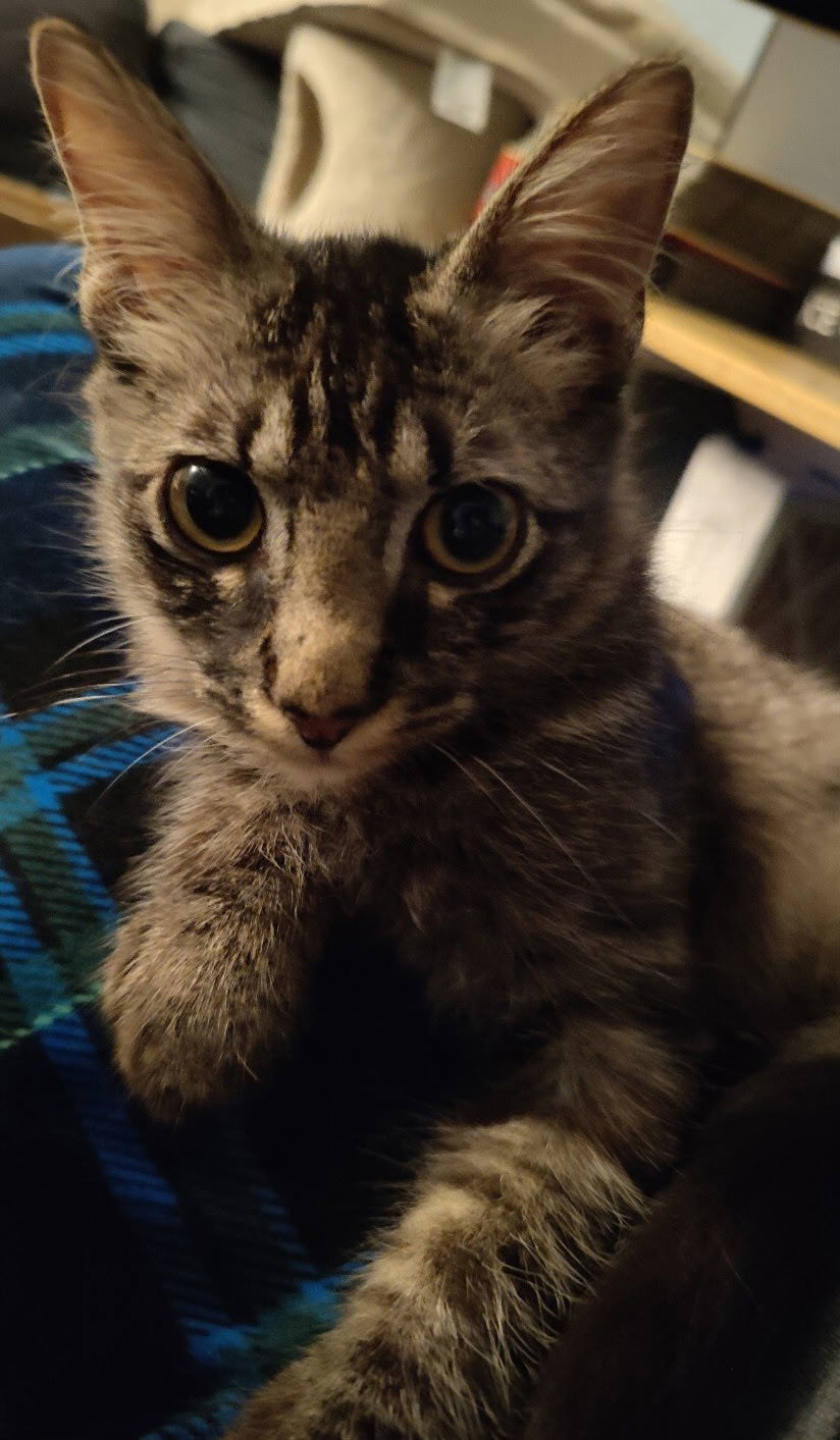 Mr. Peepers