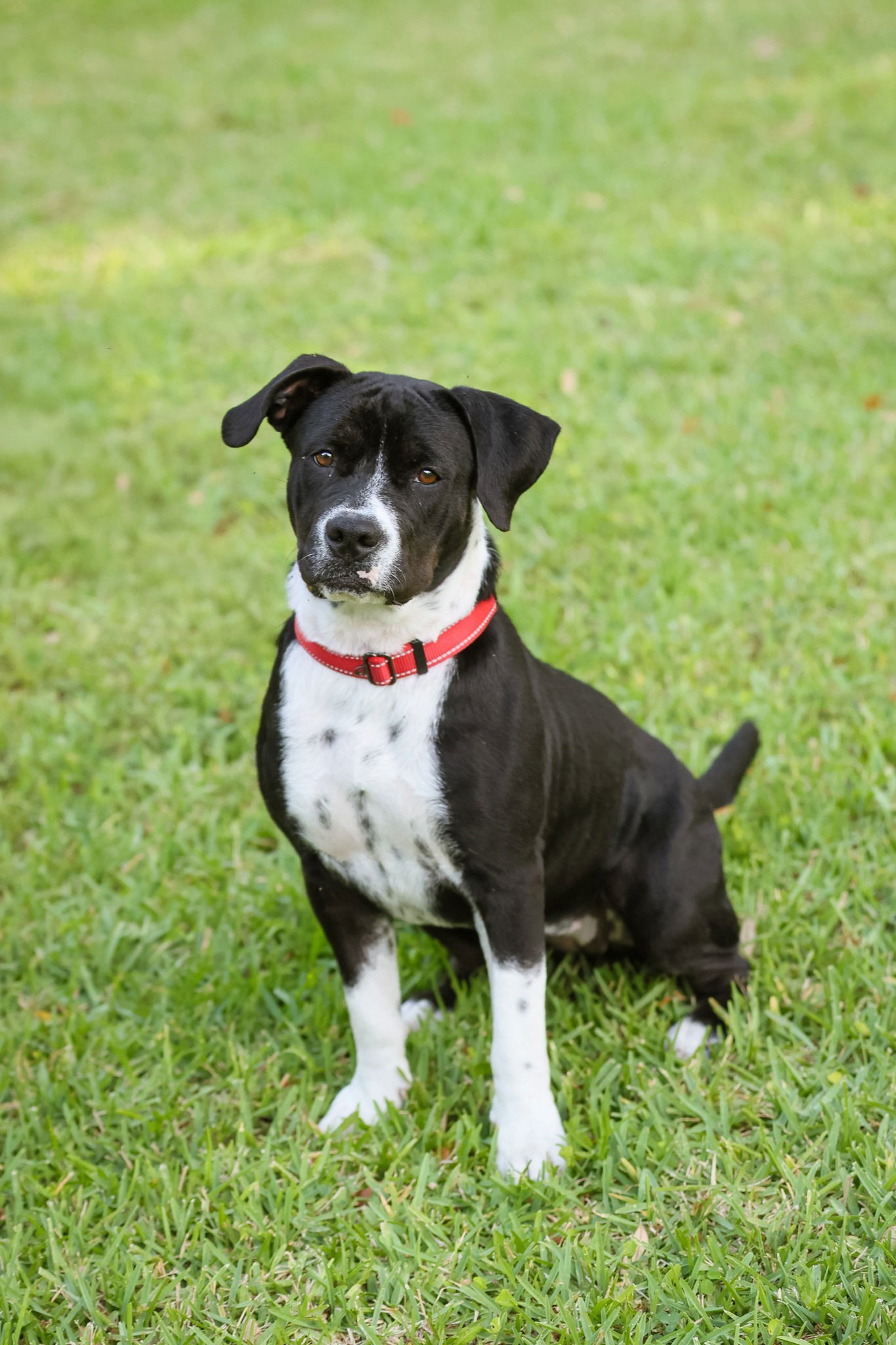 Ellie Mae