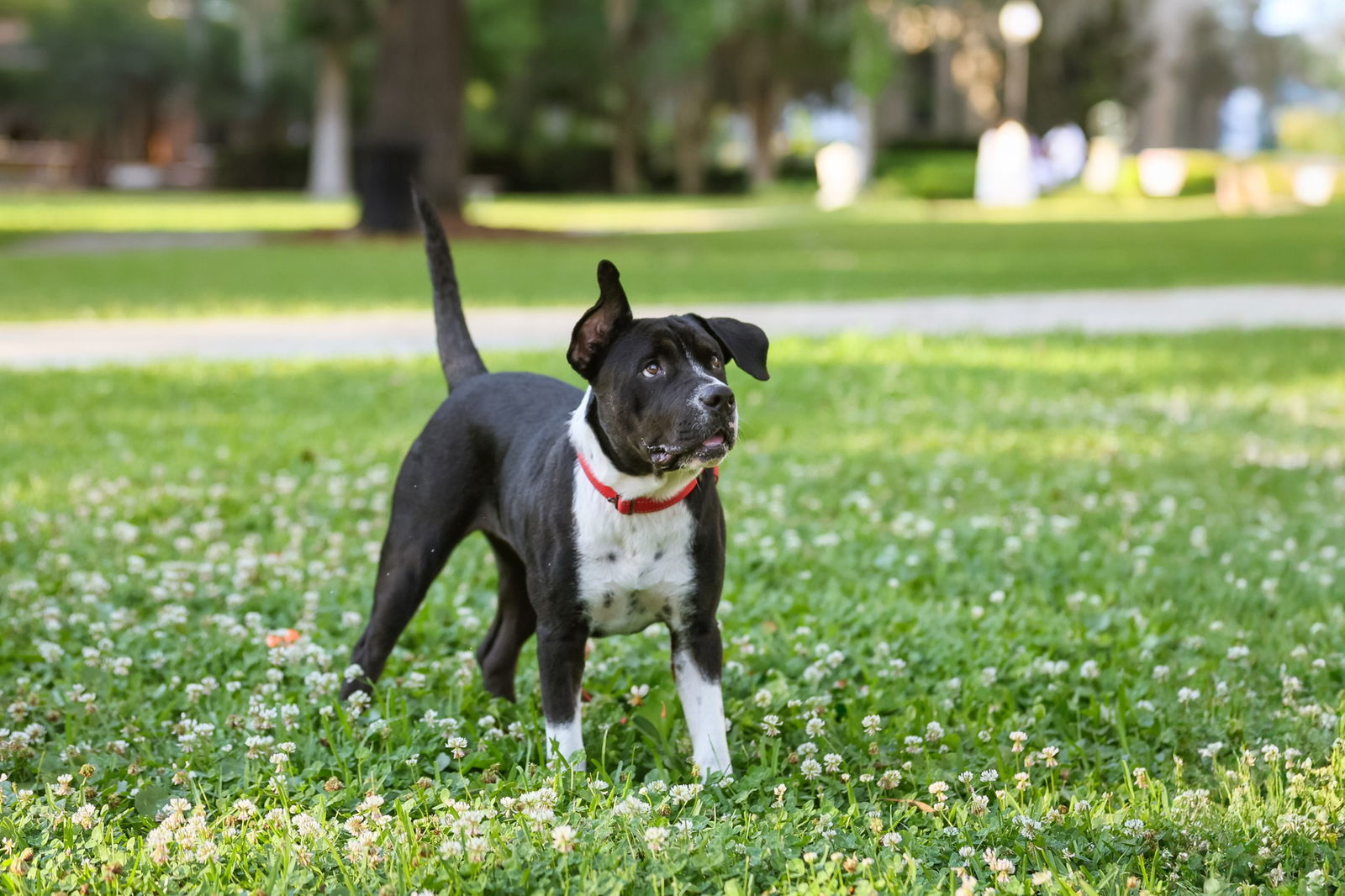 Ellie Mae
