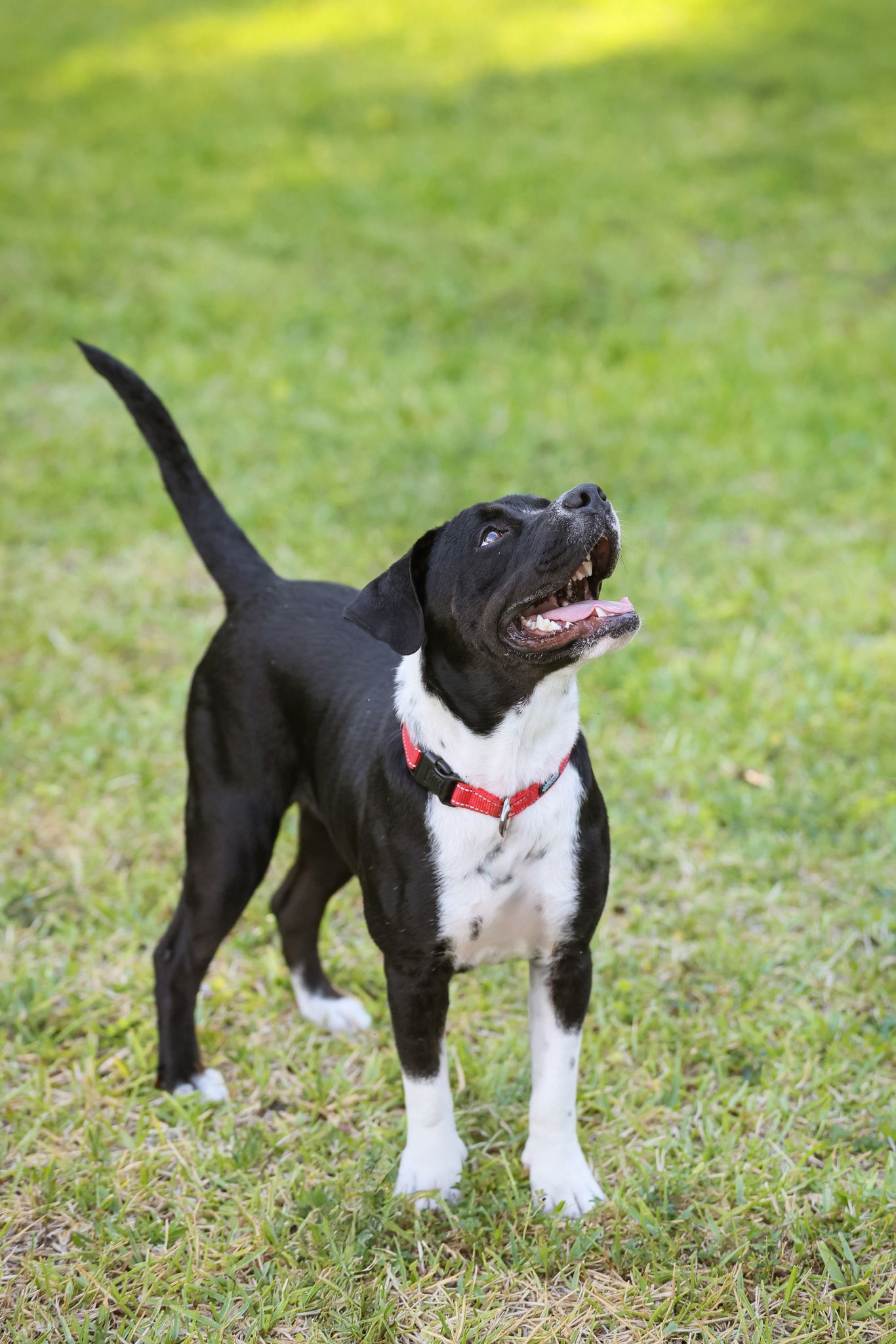 Ellie Mae
