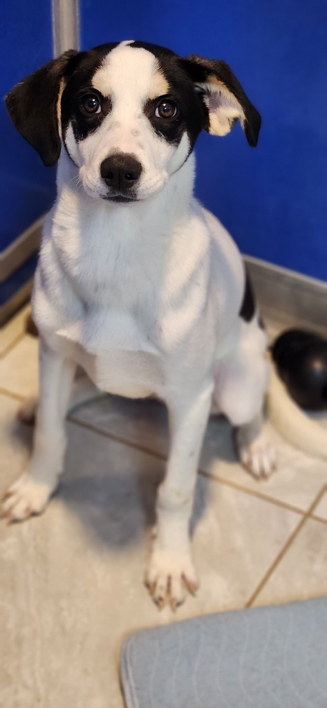 Maggie