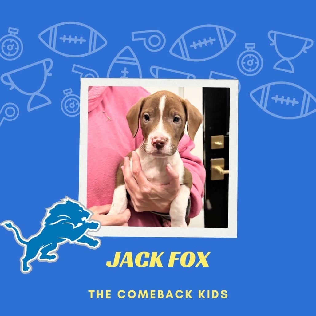 Jack Fox - 2198