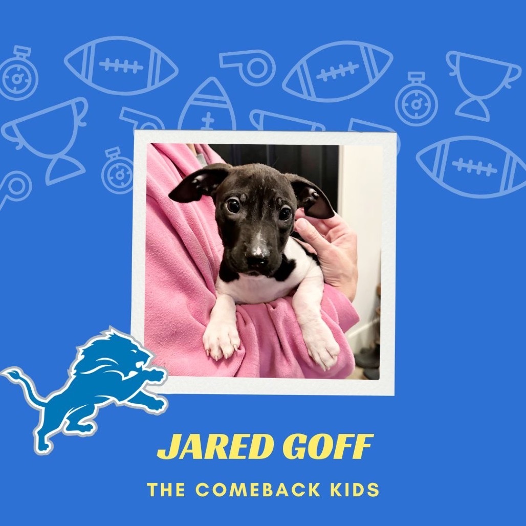 Jared Goff - 2196