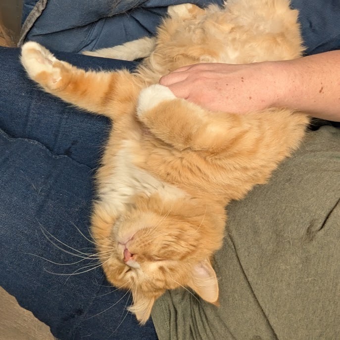 Dreamsicle