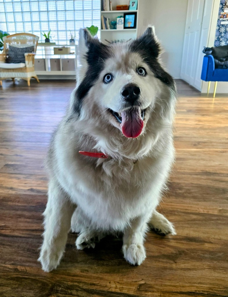 Luna