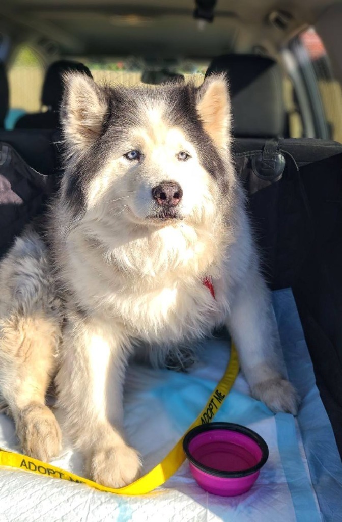 Luna