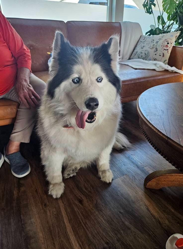 Luna