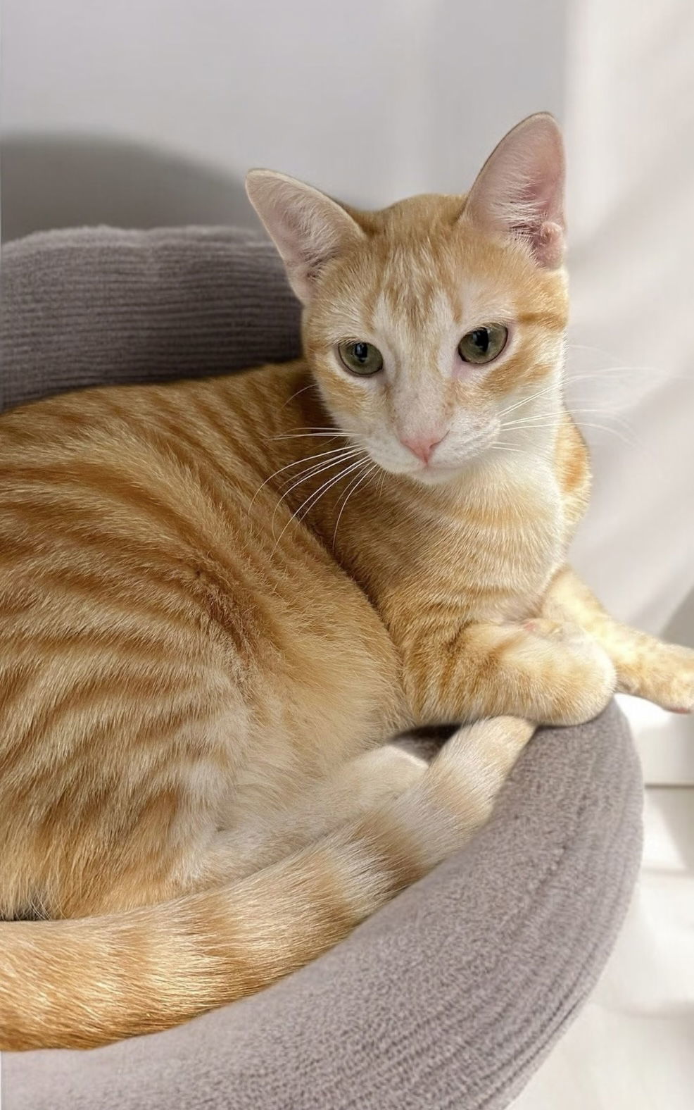Leroy
