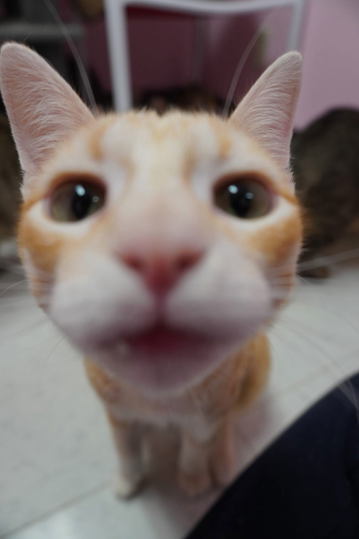 Leroy