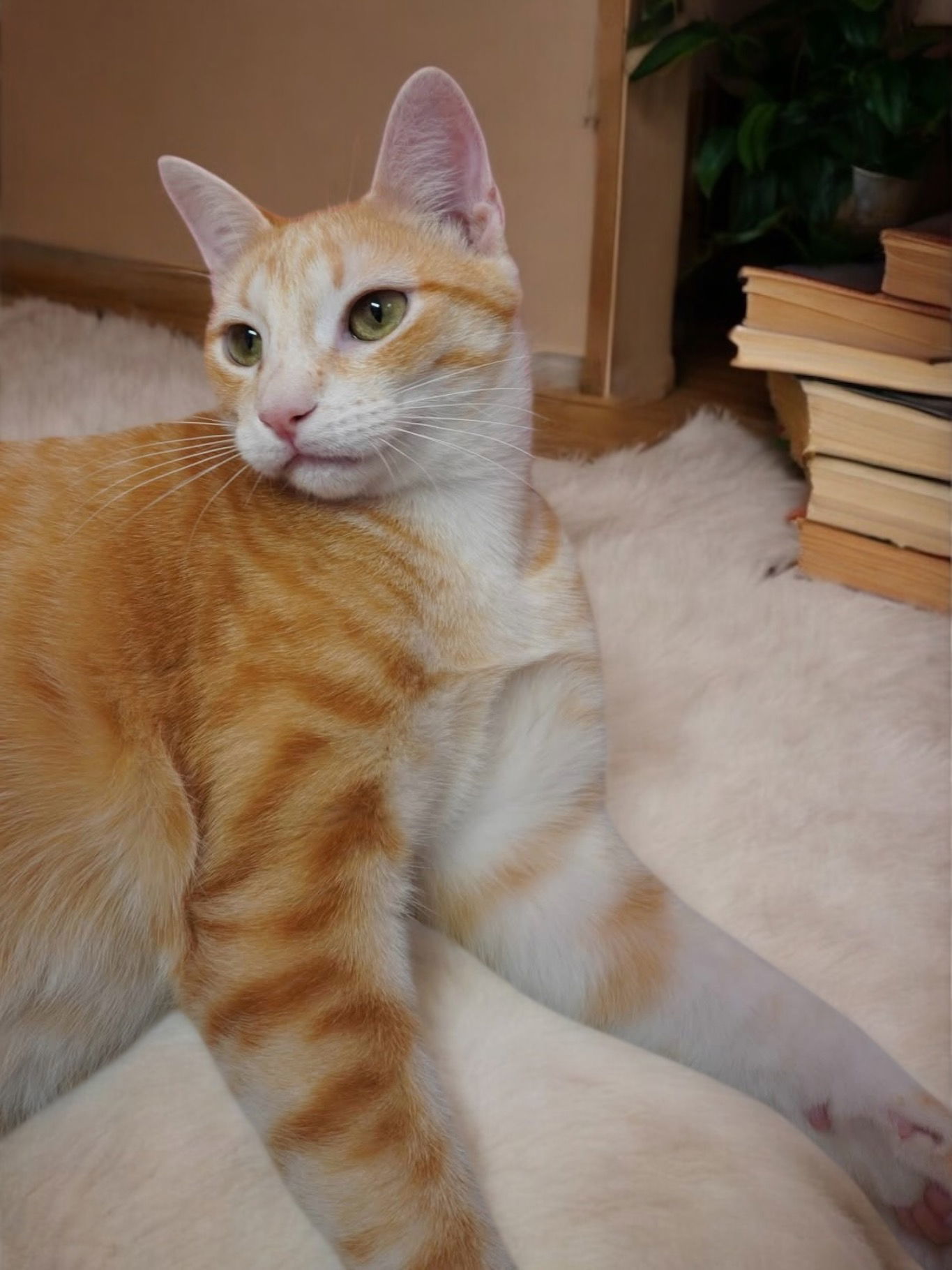 Leroy